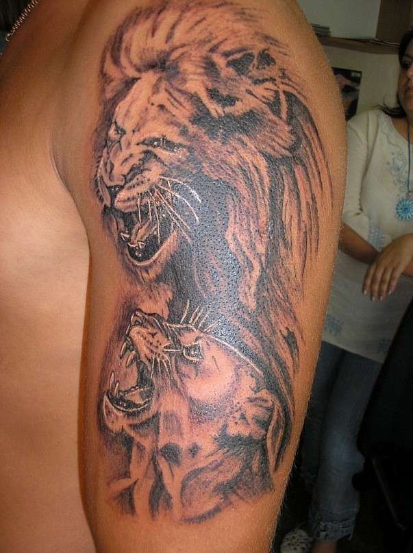 肩部棕色咆哮狮和母狮纹身图案