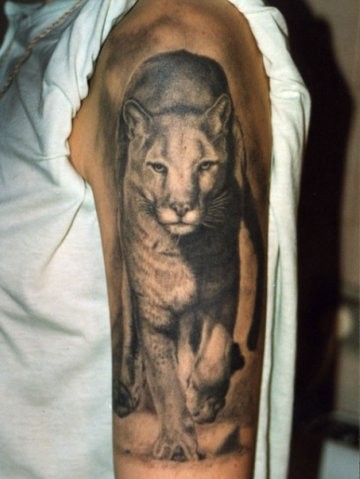 肩部棕色逼真行走的狮子纹身图案