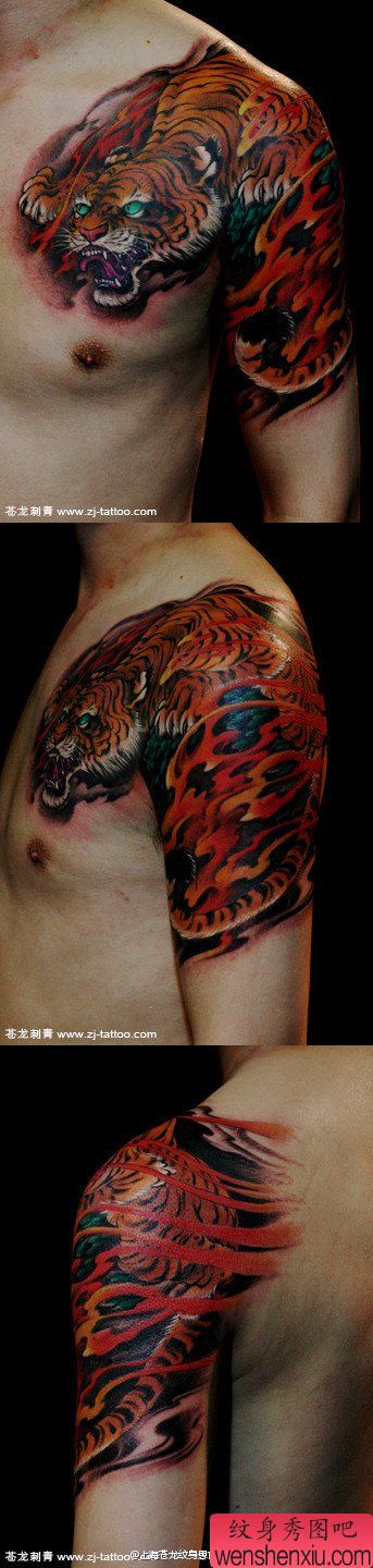 一幅超酷漂亮的半胛披肩老虎纹身图案作品