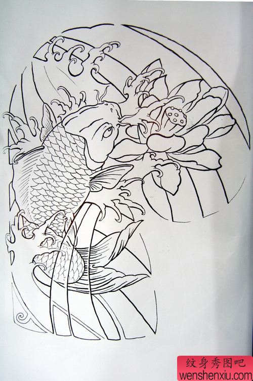 一组半胛精华鲤鱼纹身手稿图案图片