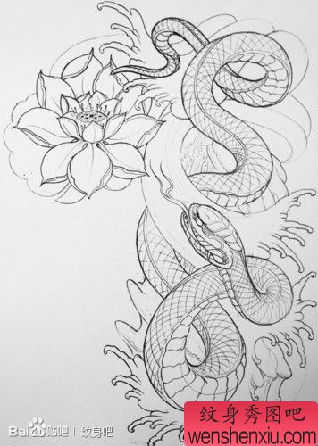 流行很帅的一幅半胛蛇纹身手稿线稿