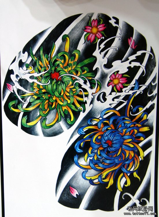 中国经典的传统半胛菊花纹身手稿图案展示