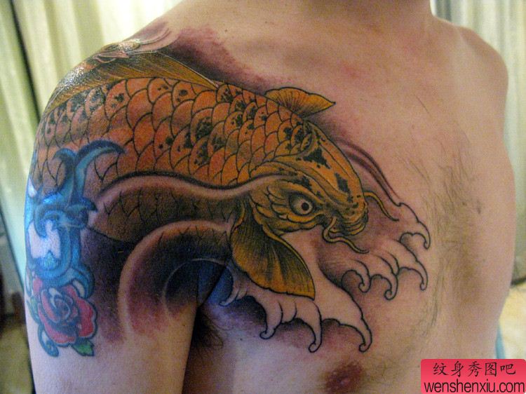 纹身bbs推荐的土豪金半胛鲤鱼纹身图案作品欣赏