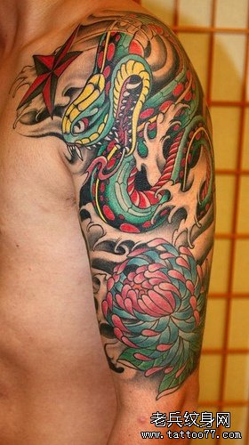 一幅半胛彩色蛇菊花纹身图案