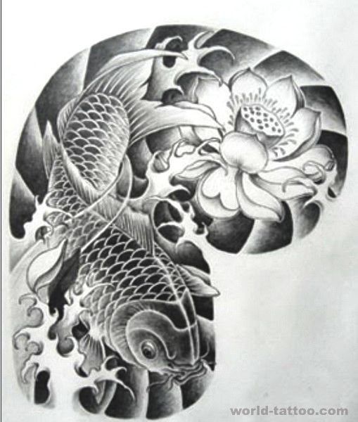 纹身网提供中国传统半胛吉祥招财鲤鱼莲花纹身手稿图案图片展示