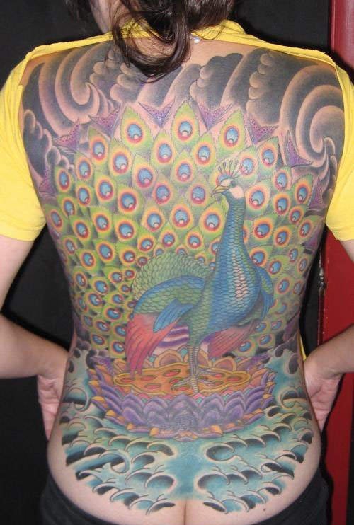彩色的鸟纹身满背孔雀纹身火凤凰纹身动物图案纹身