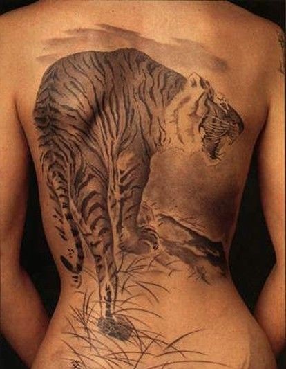 背部亚洲风格的老虎黑灰纹身图案