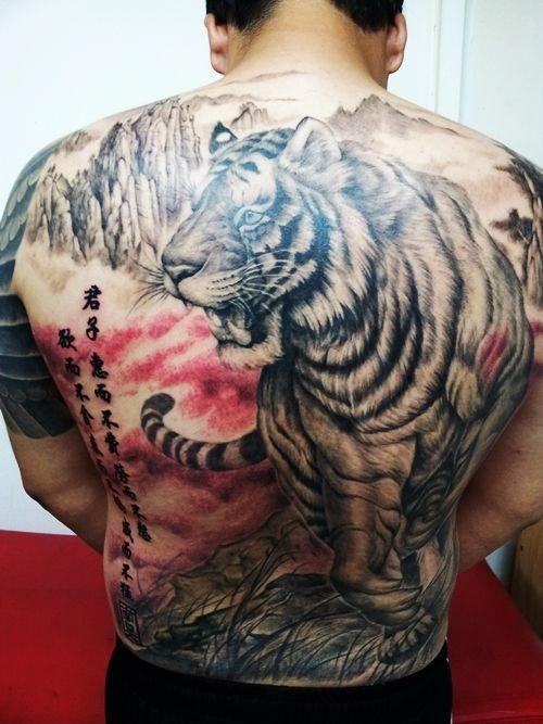 满背亚洲式的老虎纹身图案