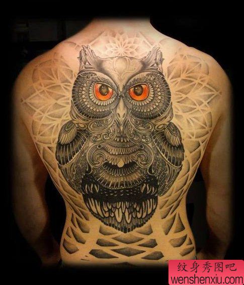 一幅满背的猫头鹰纹身图案